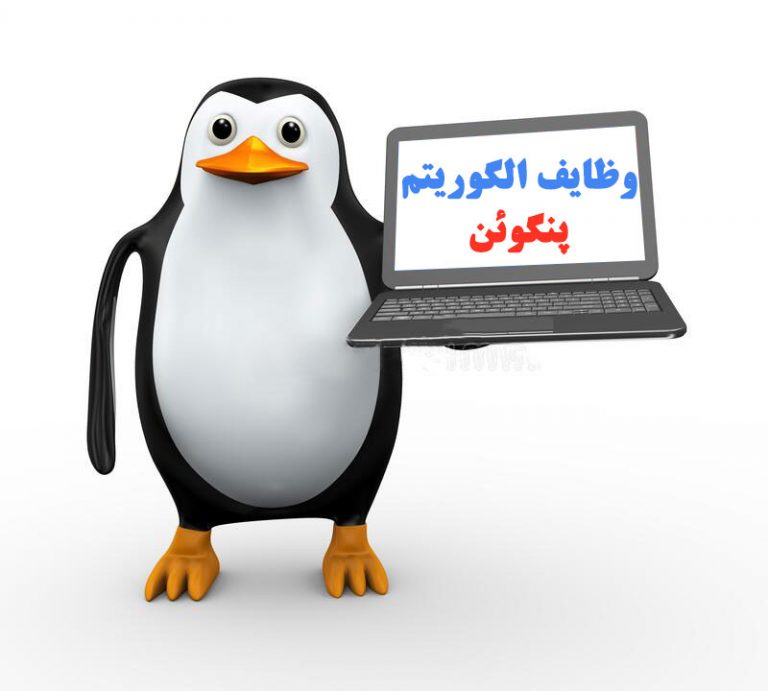 الگوریتم پنگوئن | الگوریتم پنگوئن چیست؟